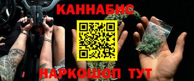 крисы Нальчик