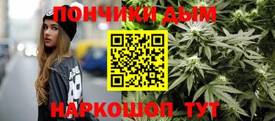 крисы Нальчик