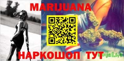 крисы Нальчик