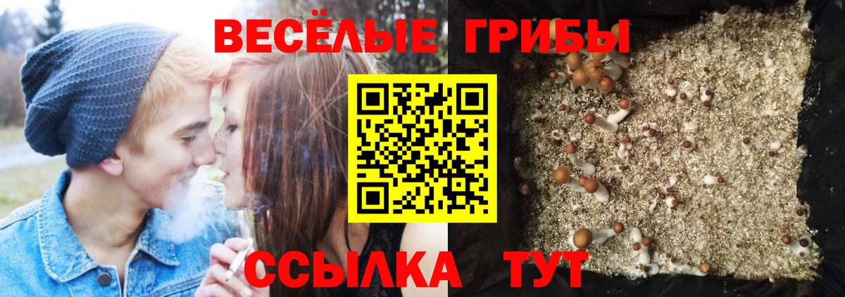 Тихорецк  Галлюциногенные грибы Psilocybe  Галлюциногенные грибы ЛСД  Вход с VPN 