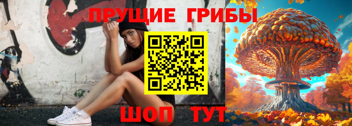 Галлюциногенные грибы Cubensis Тихорецк